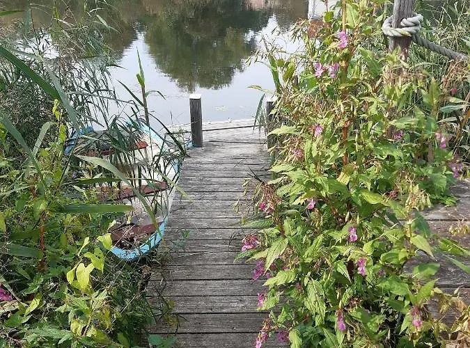 Schiffstatt * غوكساغين